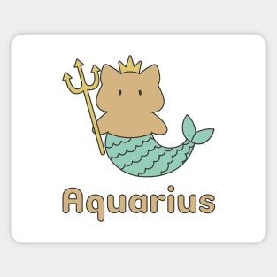 Aquarius Cat Zodiac Sign with Text Sticker